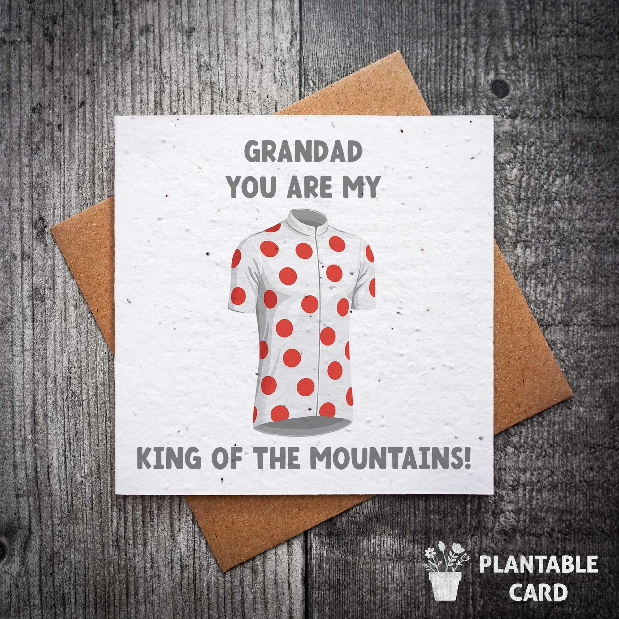You Are Our King Of The Mountains Plantable Father's Day Card