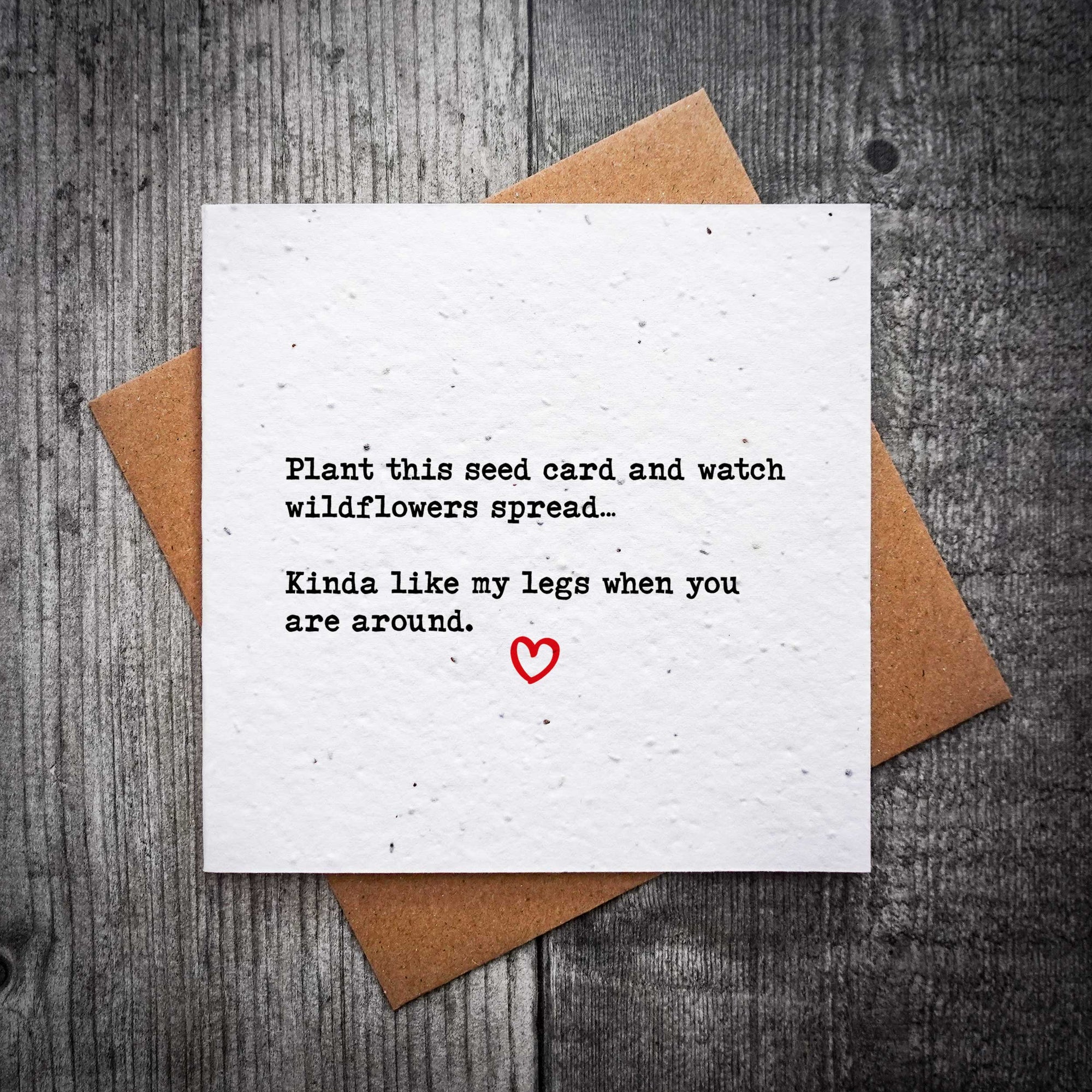 Rude Plantable Valentine’s Card – "Plant This Seed Card and Watch Wildflowers Spread…"