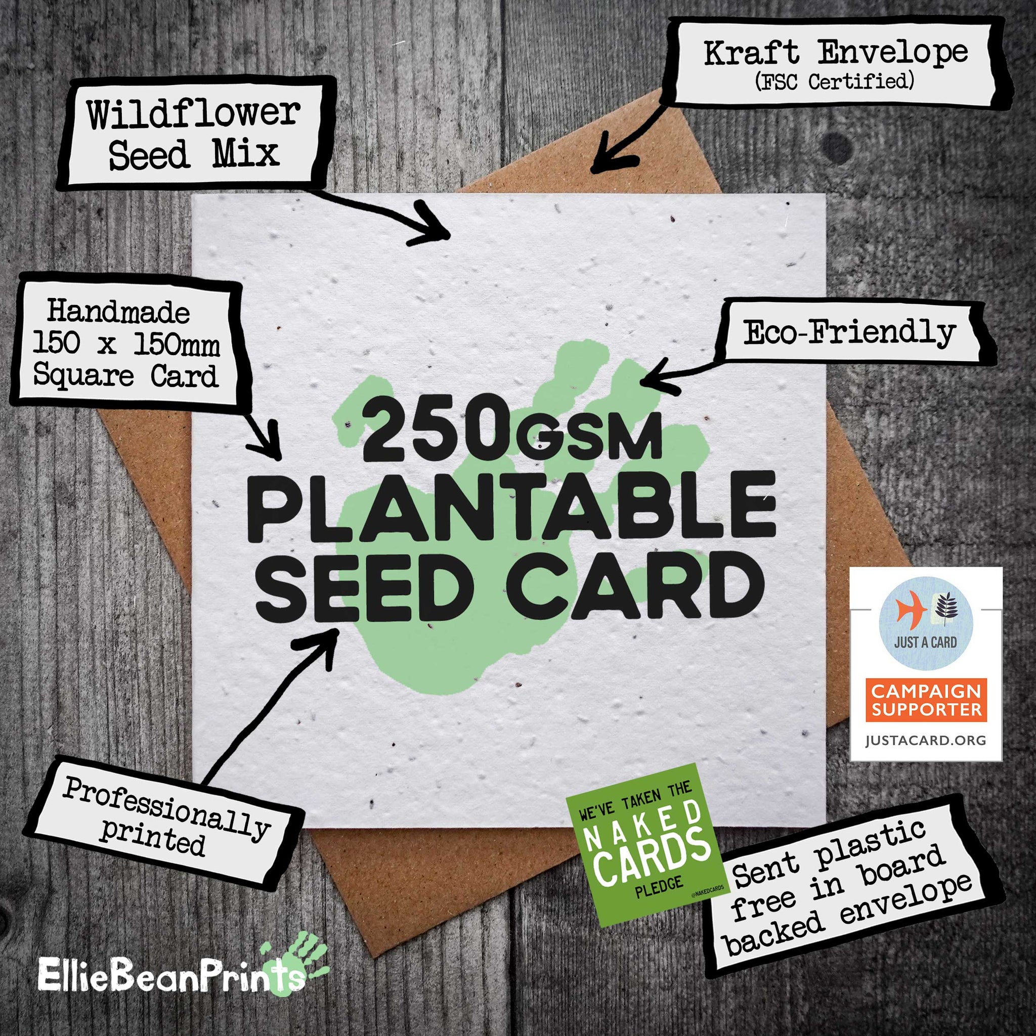 plant a seed watch it grow Let's Plant Love And Watch It Grow | Plantable Seed Valentine's Card