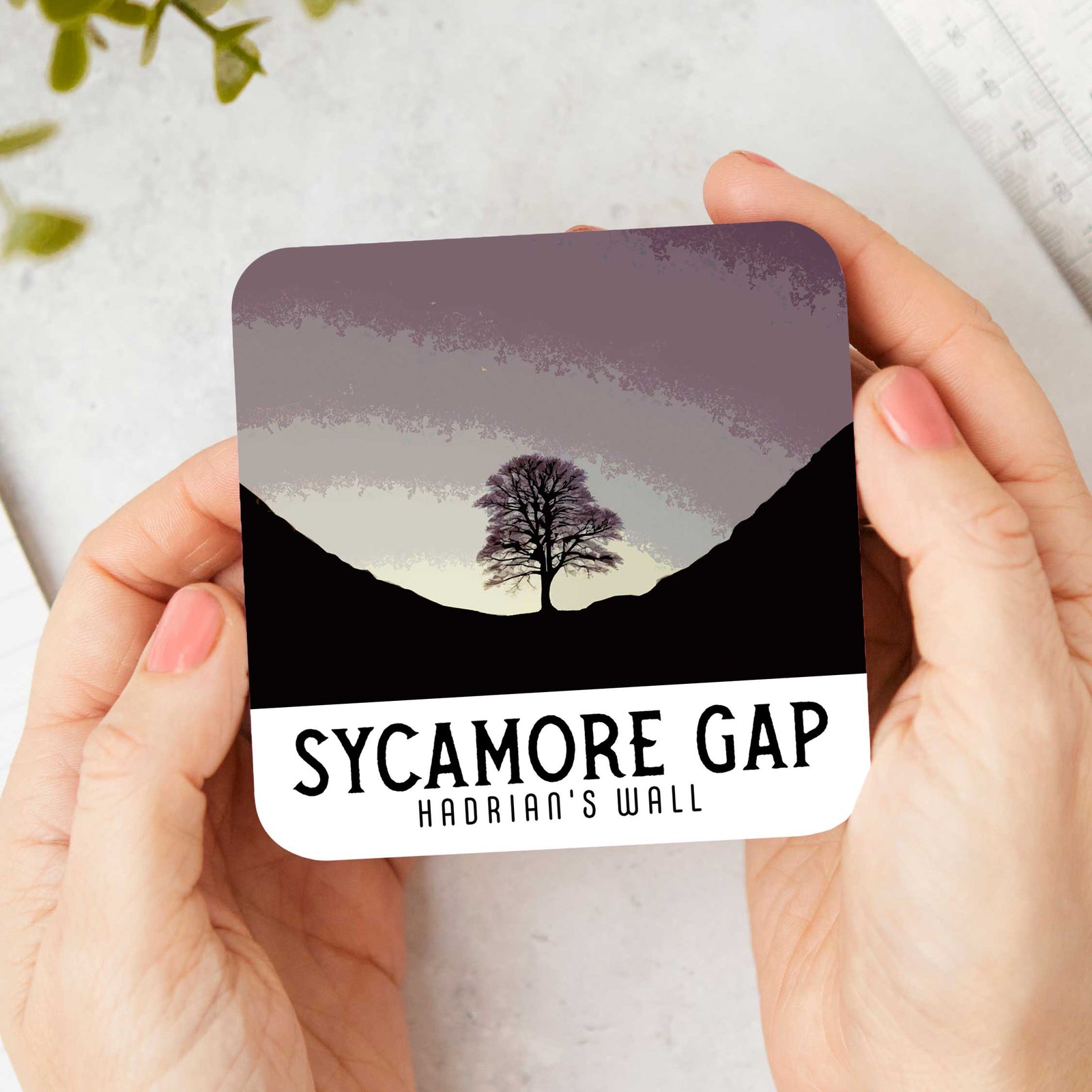 Sycamore Gap: The End of an Era Coaster